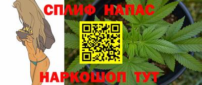 гашик Обь